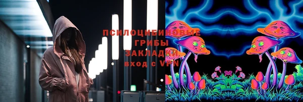 тгк Абинск