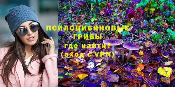 ГАЛЛЮЦИНОГЕННЫЕ ГРИБЫ Остров