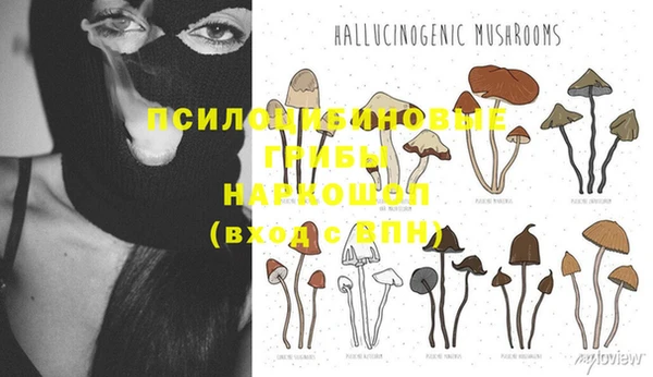 амф Осинники