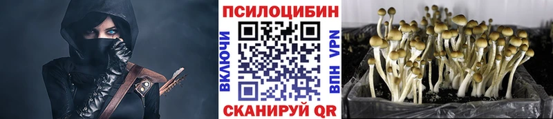 Псилоцибиновые грибы прущие грибы  Старый Крым 